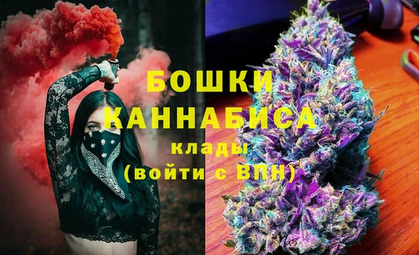 амф Богородск
