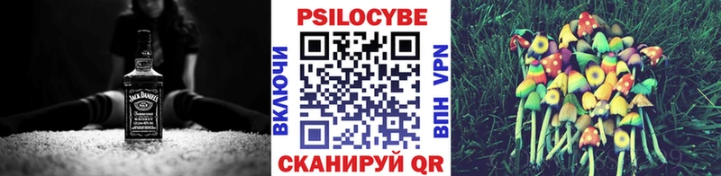 Галлюциногенные грибы прущие грибы  сколько стоит  Боготол 